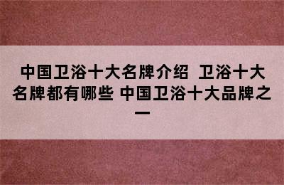 中国卫浴十大名牌介绍  卫浴十大名牌都有哪些 中国卫浴十大品牌之一